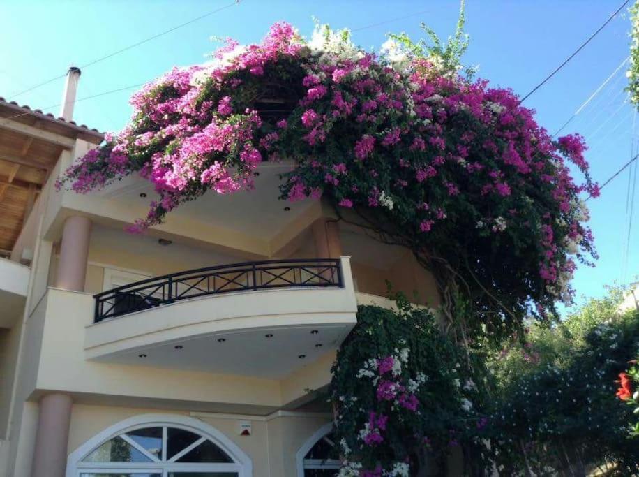 Lenico Beachfront Suites Agia Pelagia  Luaran gambar