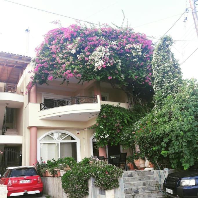 Lenico Beachfront Suites Agia Pelagia  Luaran gambar